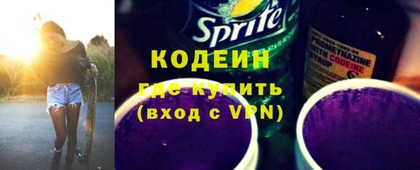 шишки Каменка