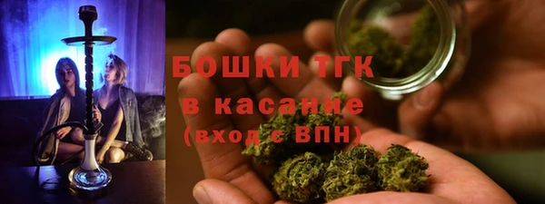 ГАЛЛЮЦИНОГЕННЫЕ ГРИБЫ Бронницы
