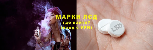 сатива Бородино