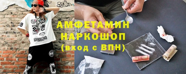 сатива Бородино