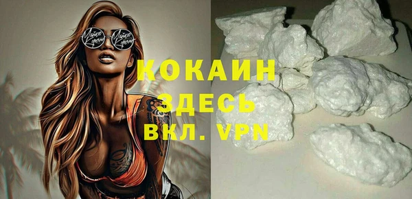 сатива Бородино
