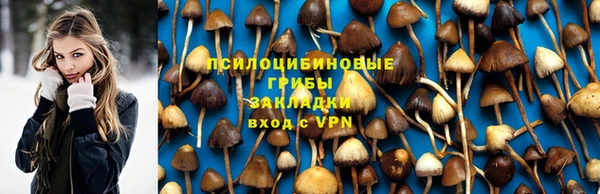 ГАЛЛЮЦИНОГЕННЫЕ ГРИБЫ Бронницы