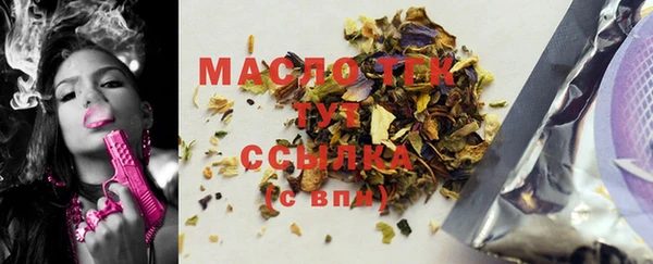 сатива Бородино