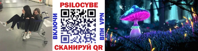 Псилоцибиновые грибы Psilocybine cubensis  купить наркотик  ссылка на мегу вход  Гаврилов-Ям 